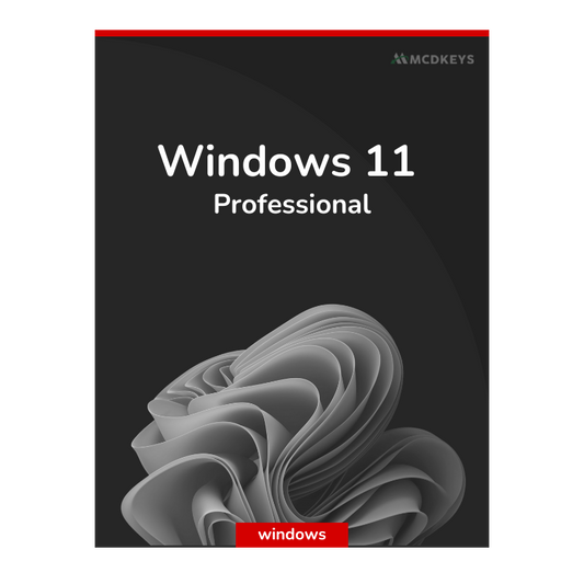 Windows 11 Pro