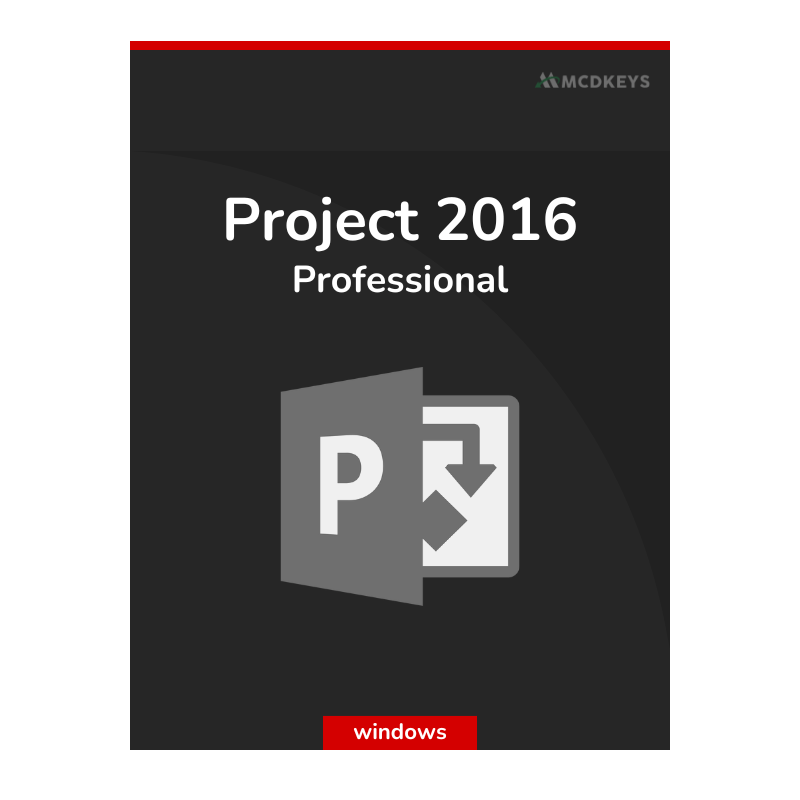 Project 2016 Professional